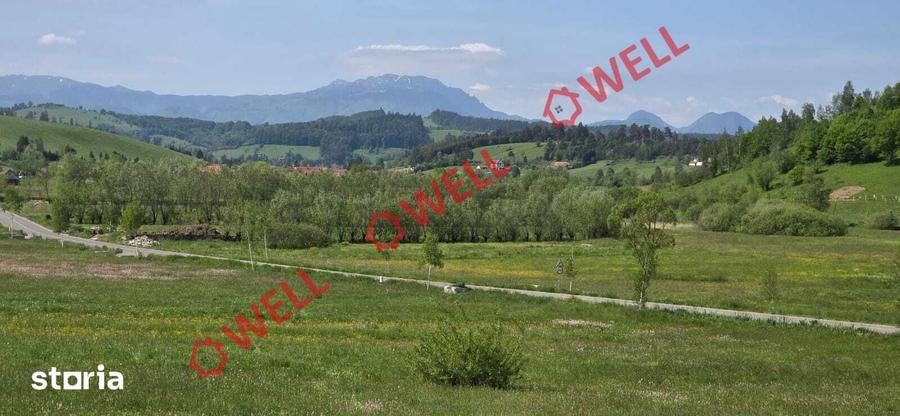 Teren de 3267 mp, în Barcani