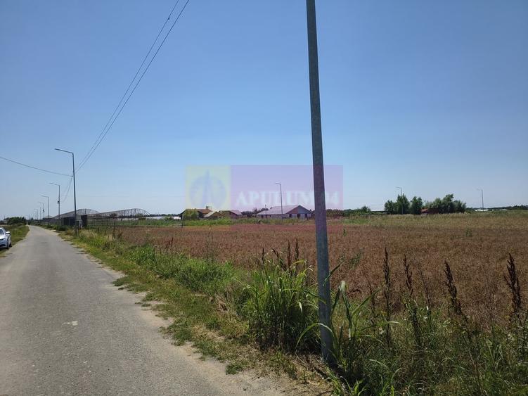 Teren în Central