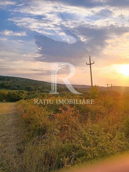 Teren agricol extravilan de 5755 mp, în Hidișelu de Sus