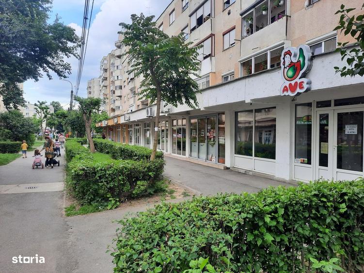Spațiu comercial, de 118 mp, în Careiului
