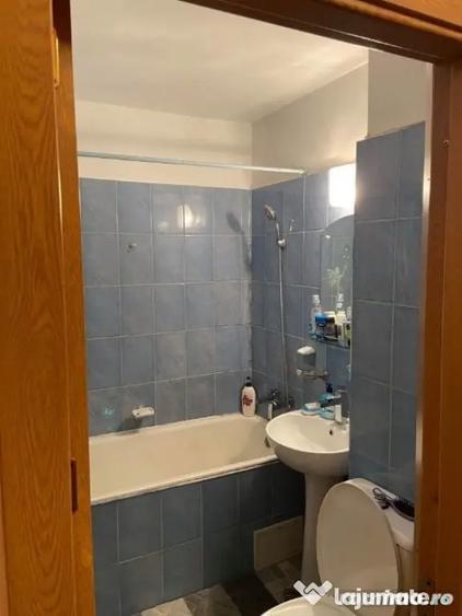 Garsonieră în Buziașului