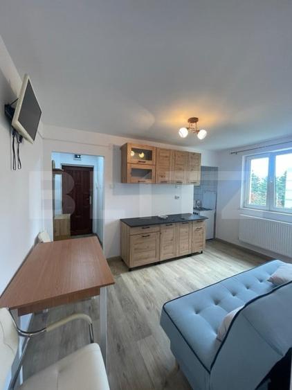 Apartament 2 camere, 35 mp, zona strazii Albac - 4