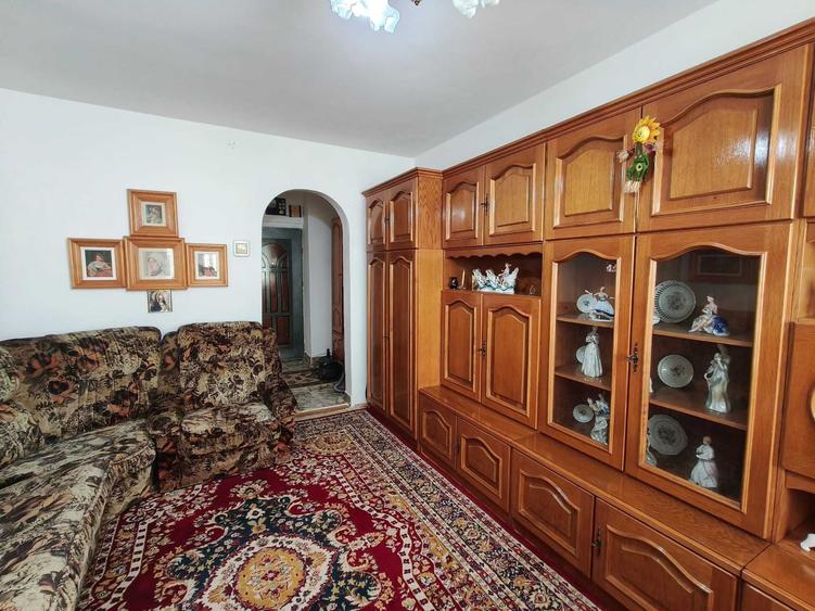 Apartament 2 camere de inchiriat - Piata Voievozilor - 14