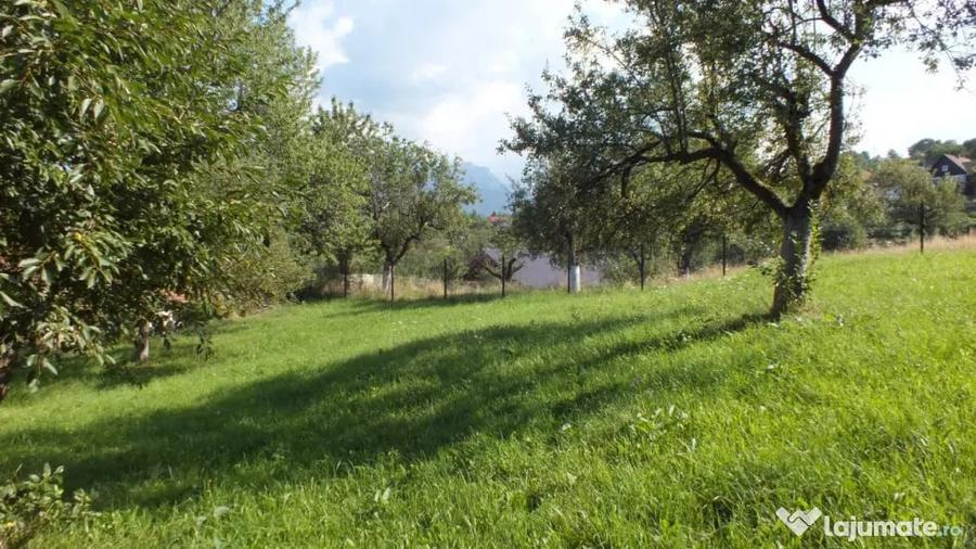 Teren în Bran