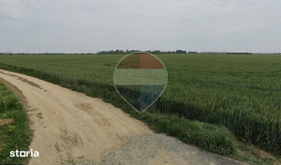 Teren intravilan de vanzare 1455 mp, Dragomiresti-Vale - 2