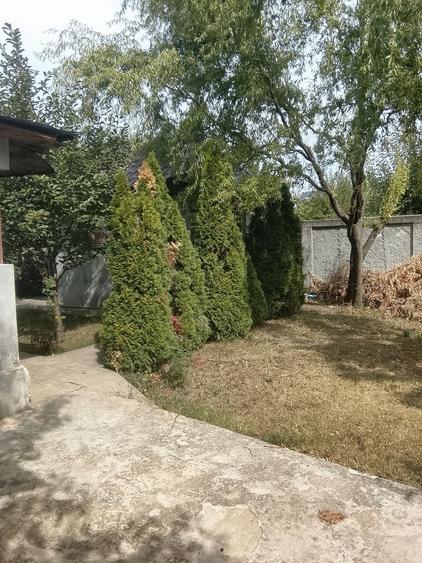 Spațiu comercial, în Tunari