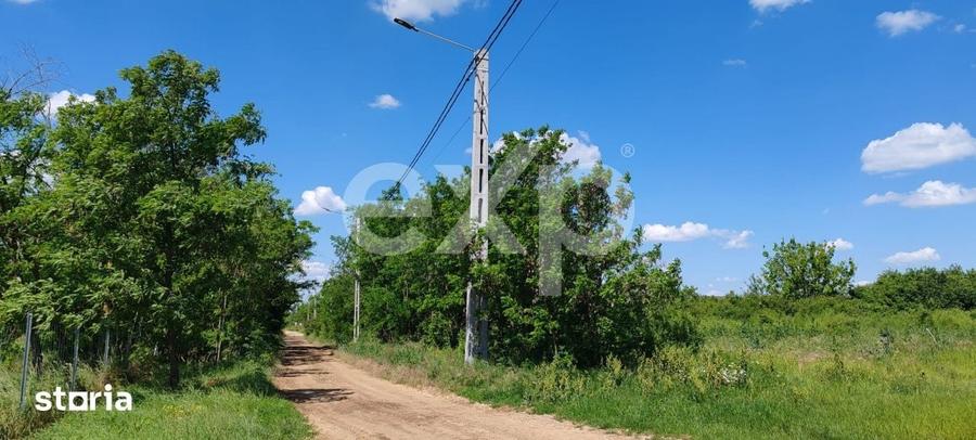 Teren de 5755 mp, în Husasău de Tinca