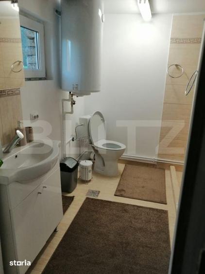 Casă cu 5 camere cu Teren 48000 Mp în Vărădia de Mureș