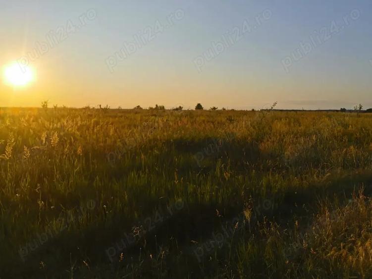 Teren de 20000 mp, în Colareț