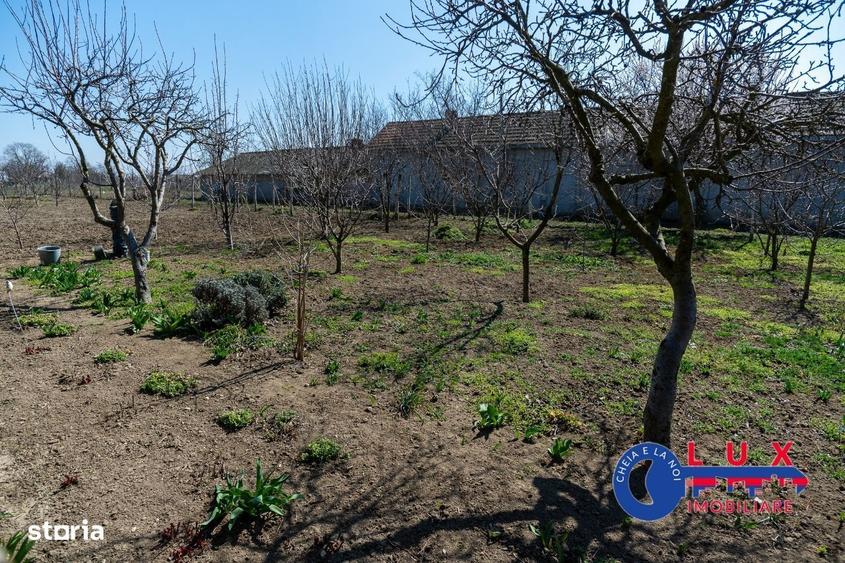 ID 6675 EXCLUSIVITATE - Teren cu casa in Sat Lunca- DELTA DUNARII - 15