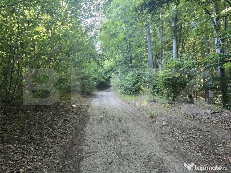 Teren de 524 mp, în Făget