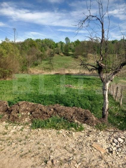 Teren Construcții intravilan de 4252 mp, în Vulcana-Pandele
