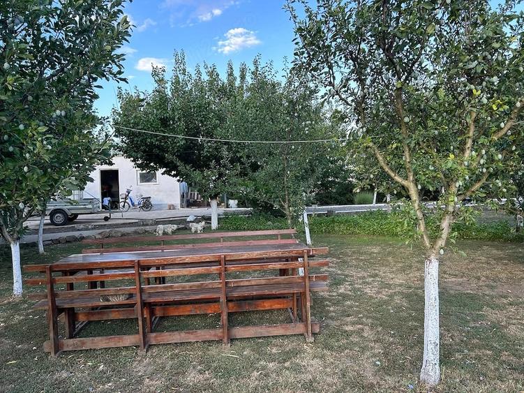 Casă cu Teren 7000 Mp în Central