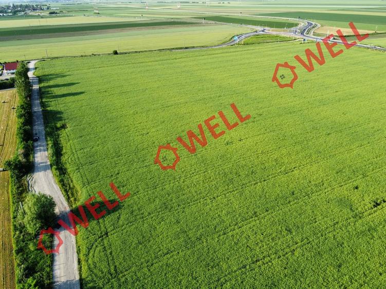 Teren agricol extravilan de 45000 mp, în Chichiș