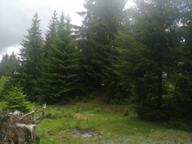 Teren Construcții de 1300 mp, în Beliș