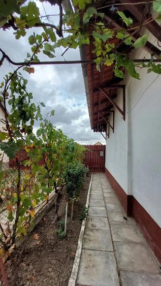 Casă cu 2 camere cu Teren 1292 Mp în Tormac