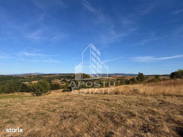 Teren de 50.000mp, priveliste panoramica spre munte si lac, Hunedoara