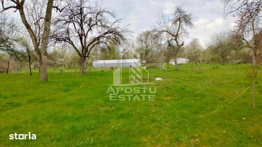 Casă cu 4 camere cu Teren 1079 Mp în Vârfurile
