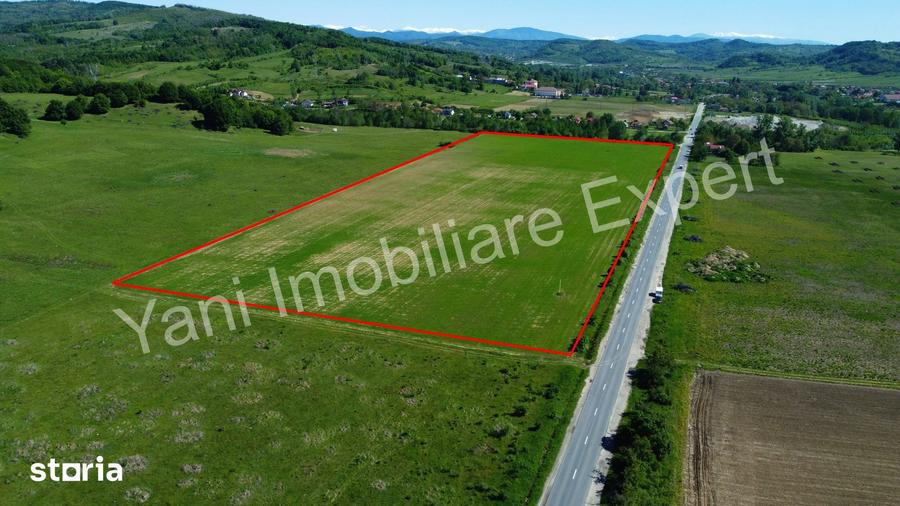 Teren de vanzare in comuna Tigveni, jude? Arge? ( 69.700 mp ) - 11