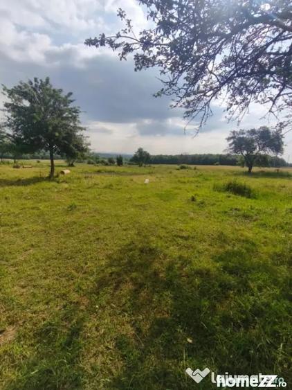 Casă cu 3 camere cu Teren 5000 Mp în Rădăuți