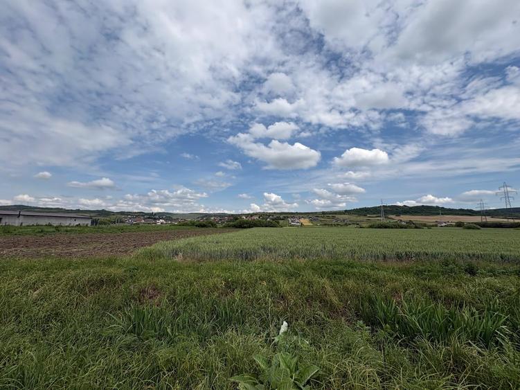 Teren Construcții intravilan de 4200 mp, în Crișeni