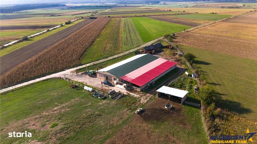 Teren de 18000 mp, în Feldioara
