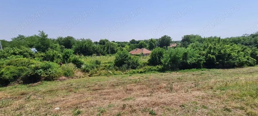 Teren de 924 mp, în Dridu
