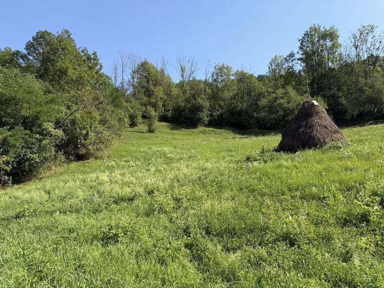 Teren intravilan 4.128 mp Ocolis Alba priveliste superba curent la proprietate - 4