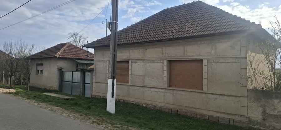 Casa la tara de vanzare - 8