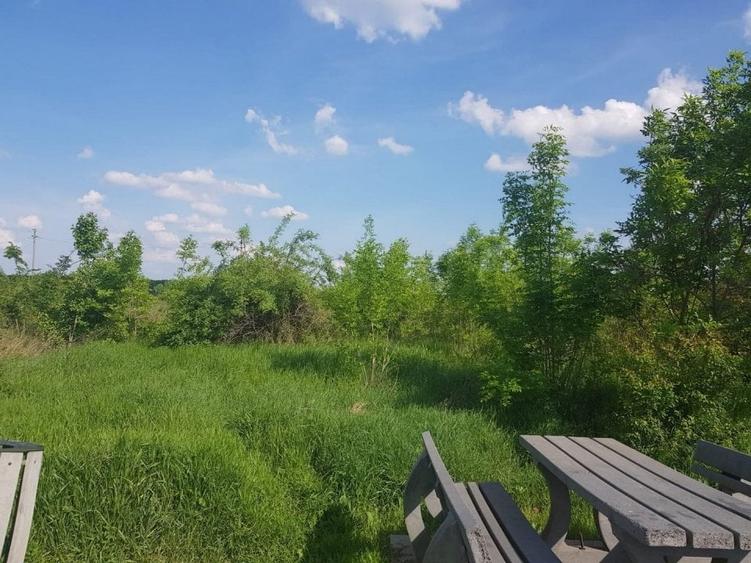 Teren Construcții intravilan de 3000 mp, în Ciolpani