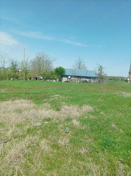 Teren de 2100 mp, în Valea Argovei