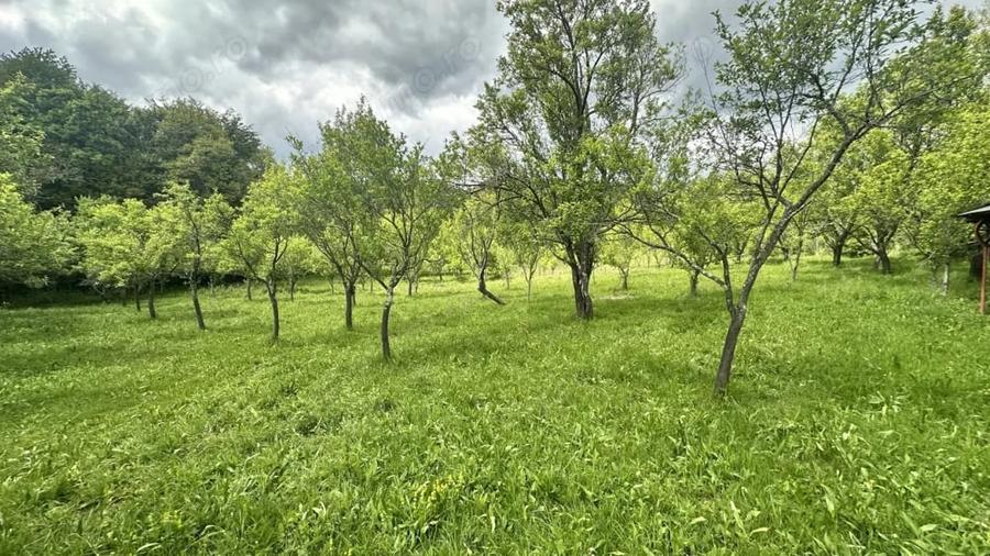 Teren de 3102 mp, în Blănoiu