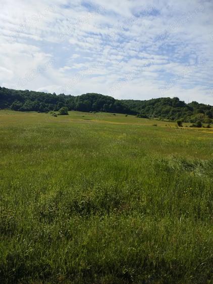 Teren de 16500 mp, în Tomești