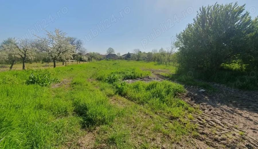 Casă cu 5 camere cu Teren 2259 Mp în Zădăreni