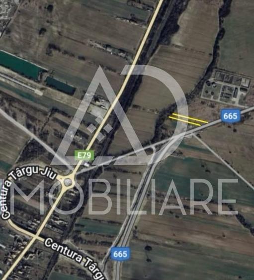Teren intravilan de 1160 mp, în Curtișoara