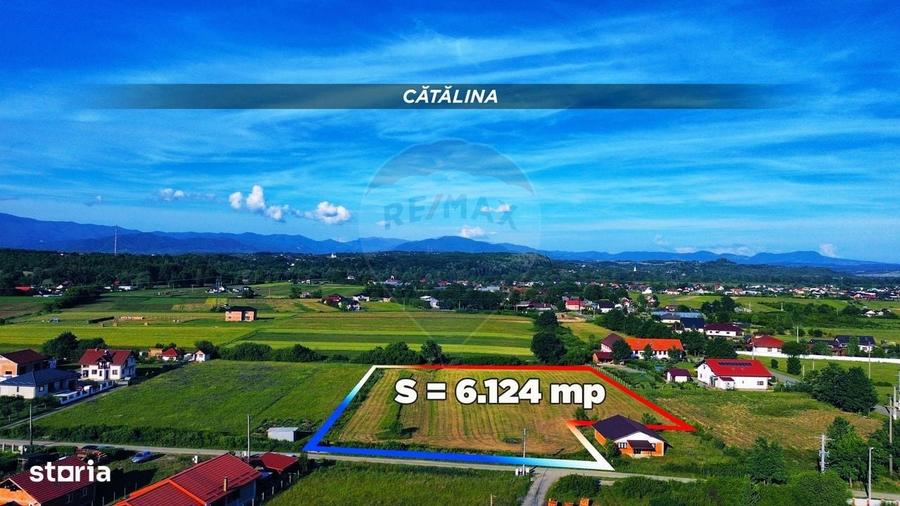Spațiu comercial, în Cătălina