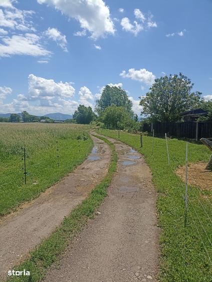 De vanzare teren extravilan in Sfantu Gheorghe - 6