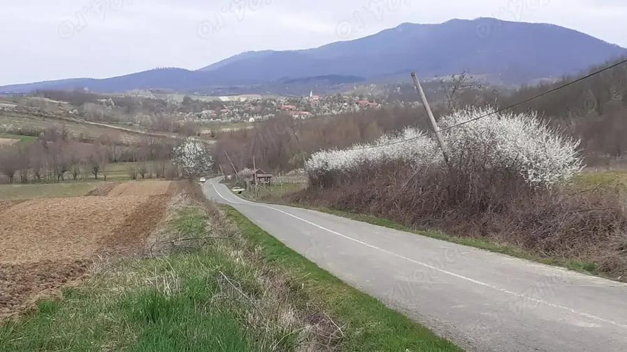 Casă cu 5 camere cu Teren 3000 Mp în Dezna
