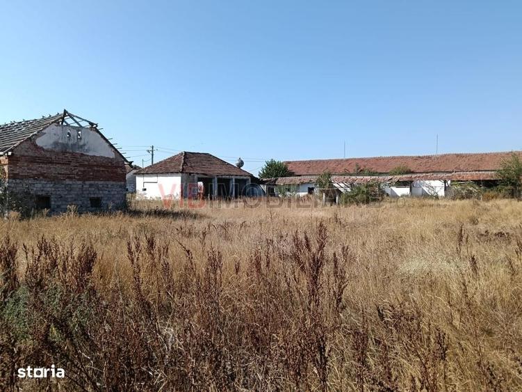 Spațiu comercial, în Murani
