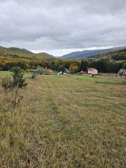 Teren de 3100 mp, în Trăisteni