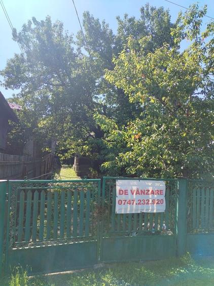 Teren si casa de vanzare - 5