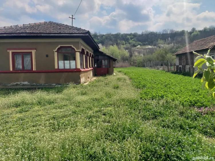 Teren de 3500 mp, în Izvoarele
