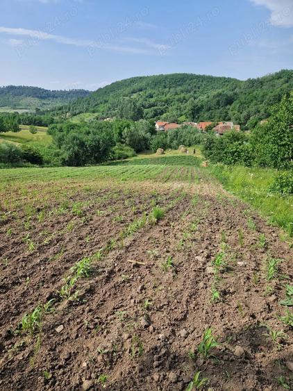 Teren de 2500 mp, în Cristorel