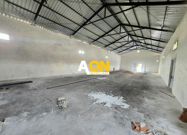 Spațiu industrial, de 280 mp, în Ampoi 1
