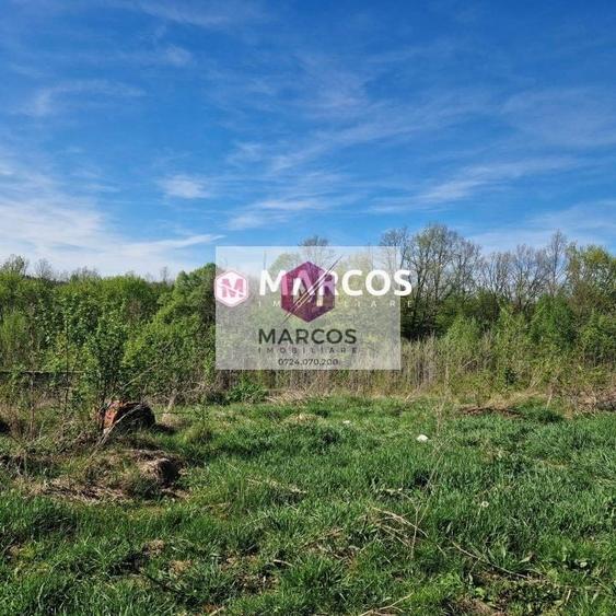 Teren Construcții extravilan de 2360 mp, în Calea Caransebeșului