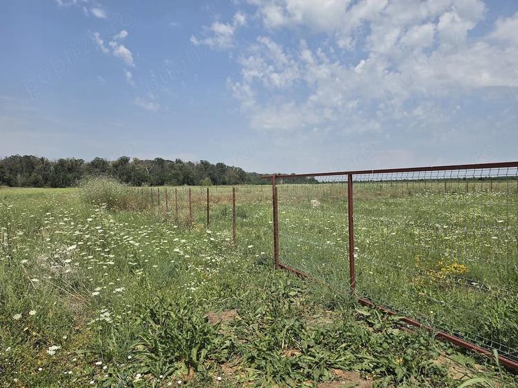 Teren de 460 mp, în Săbăreni
