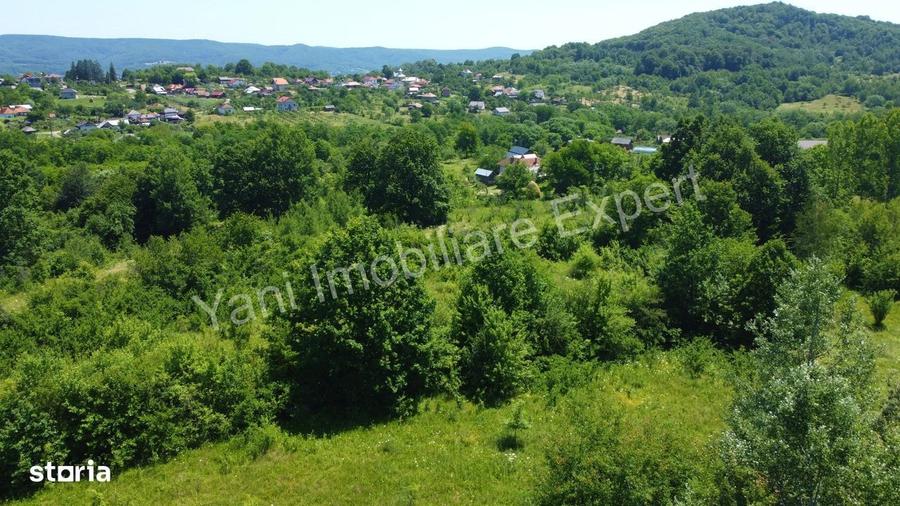 Spațiu comercial, în Valea lui Enache