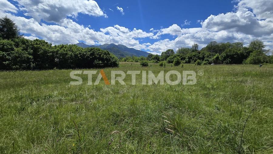 Teren Construcții extravilan de 5000 mp, în Glăjărie