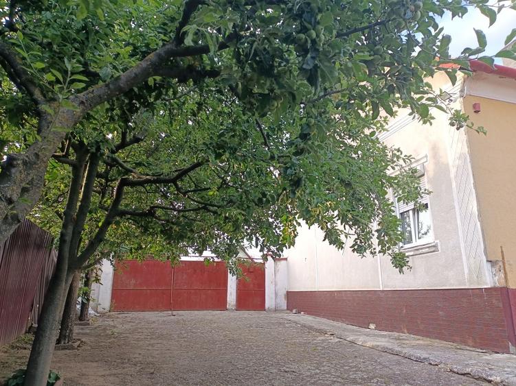 Casă cu 4 camere în Vinga