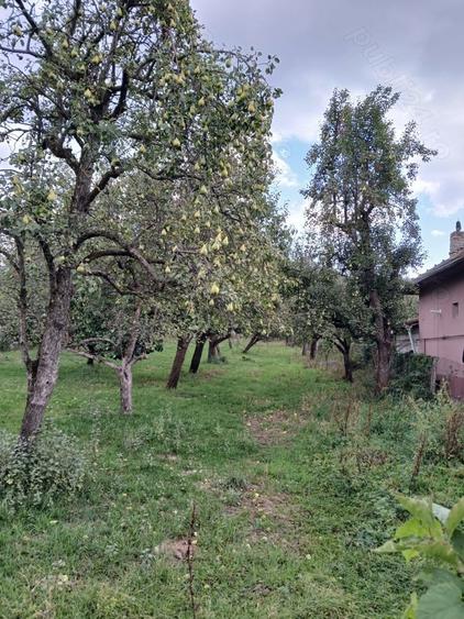 Teren de 1270 mp, în Buciumeni